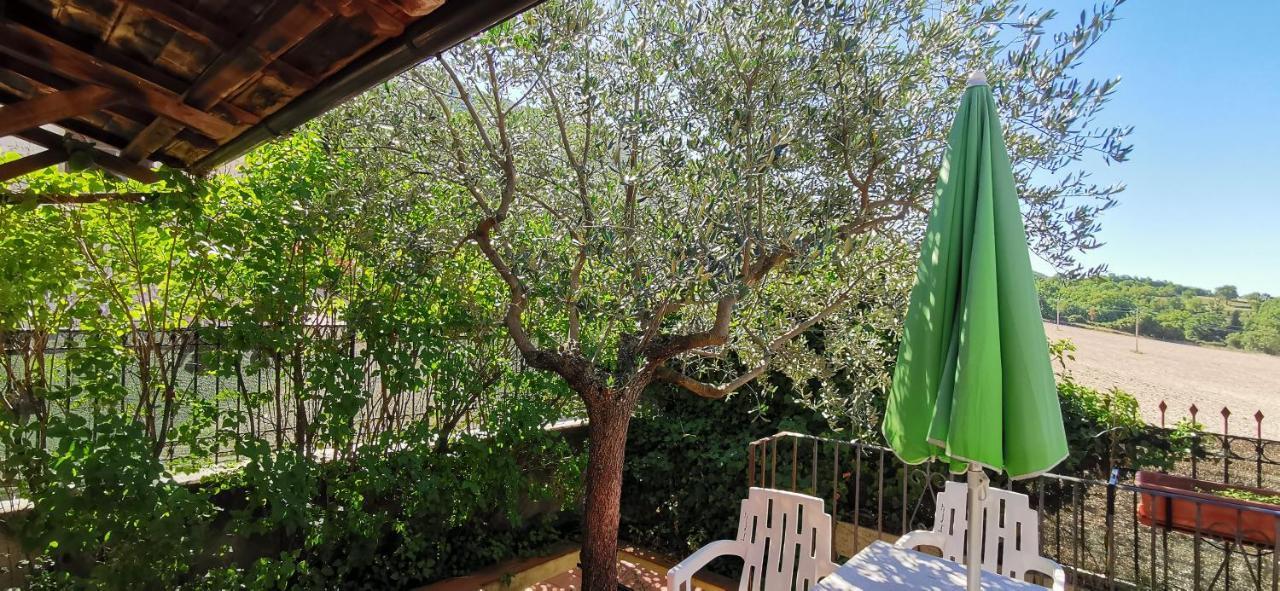 Country House Trevi Umbria Borghetto Vetuliae Santa Maria in Valle 外观 照片